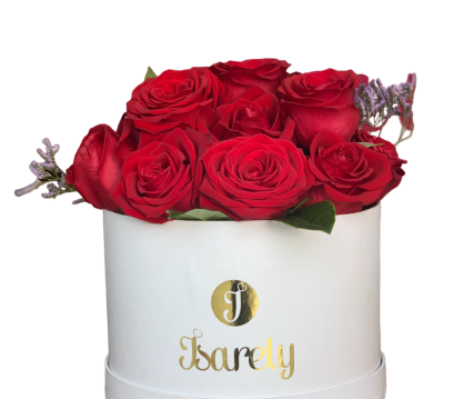 IMG_7932-Photoroom.png-Photoroom IMG_7932-Photoroom.png-Photoroom